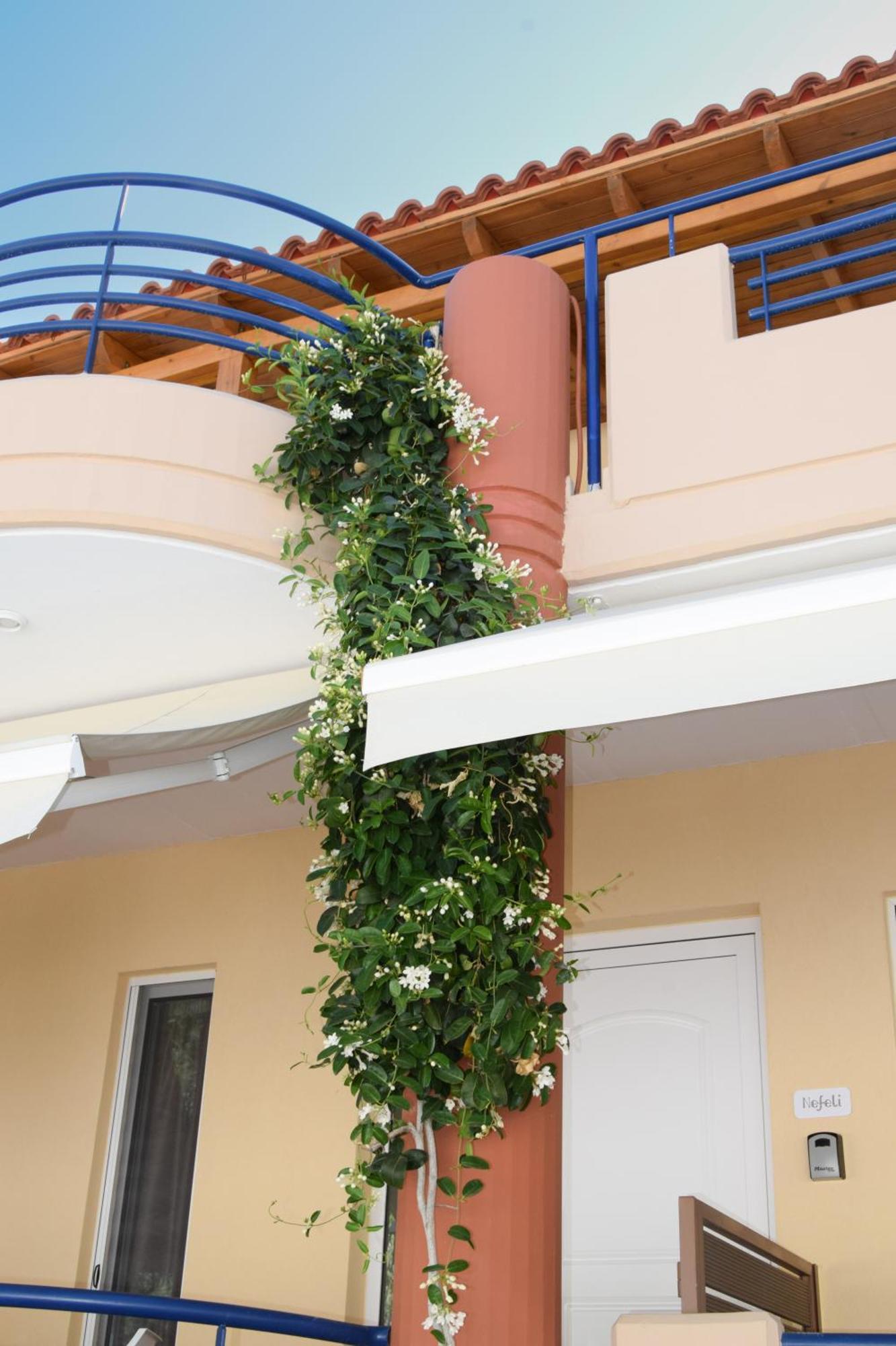 Apartamento Andy's Plaza Agia Pelagia  Exterior foto